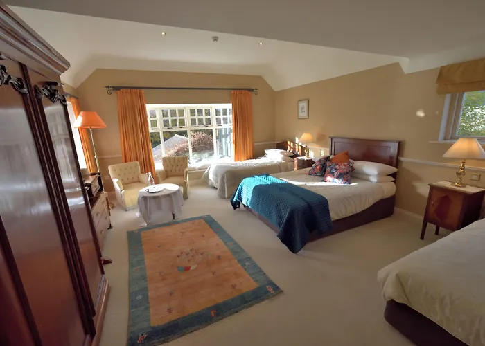 Herbert House ,v93 Rf64 Pensión Killarney